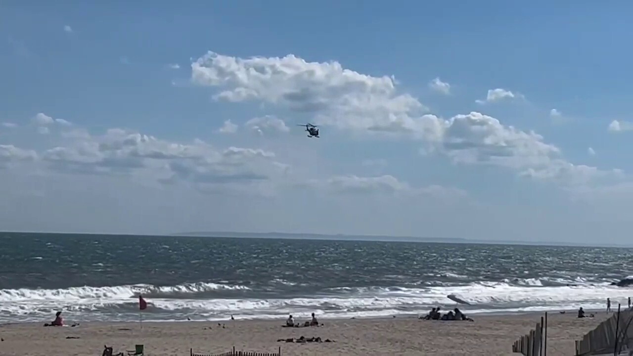 NYPD helicopter flies over NYC beach where shark spotted