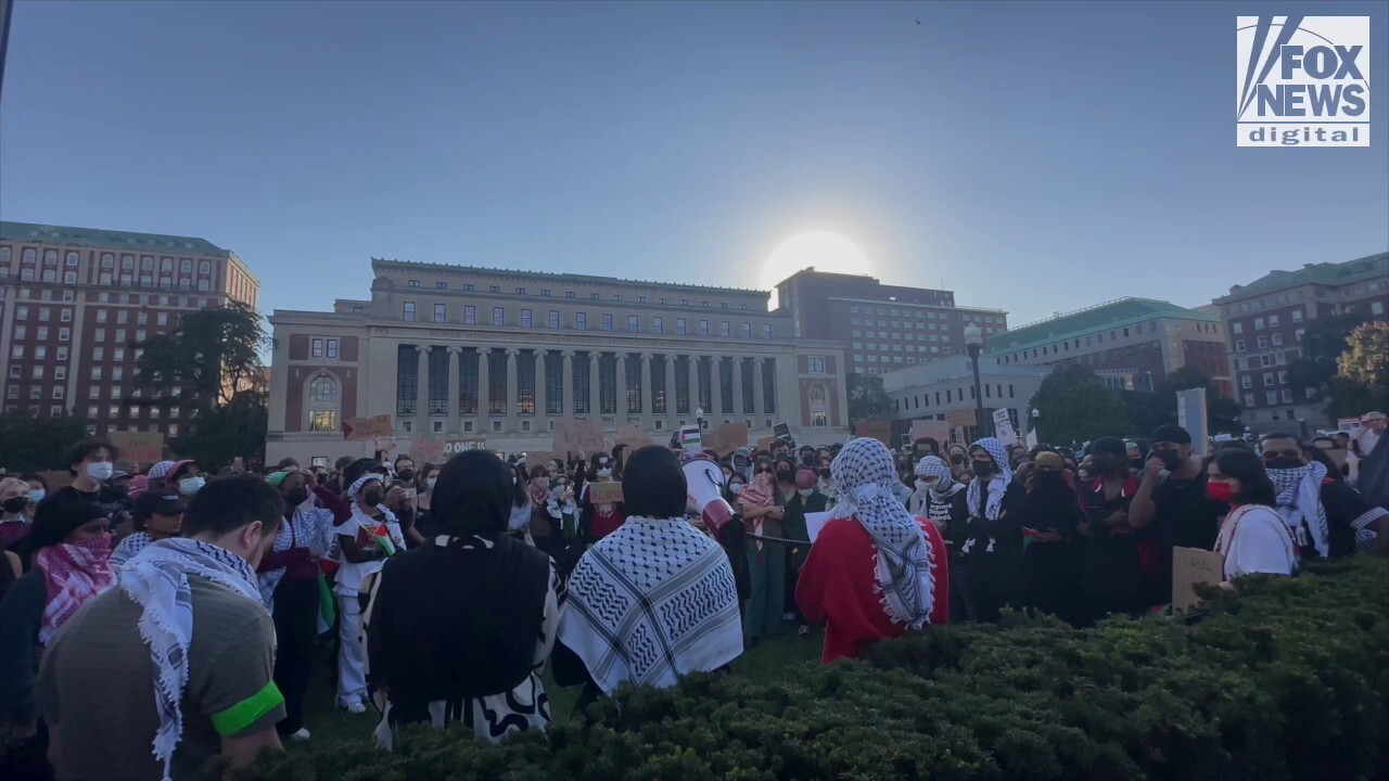 Pro-Palestinian demonstrators attend protest in New York City 