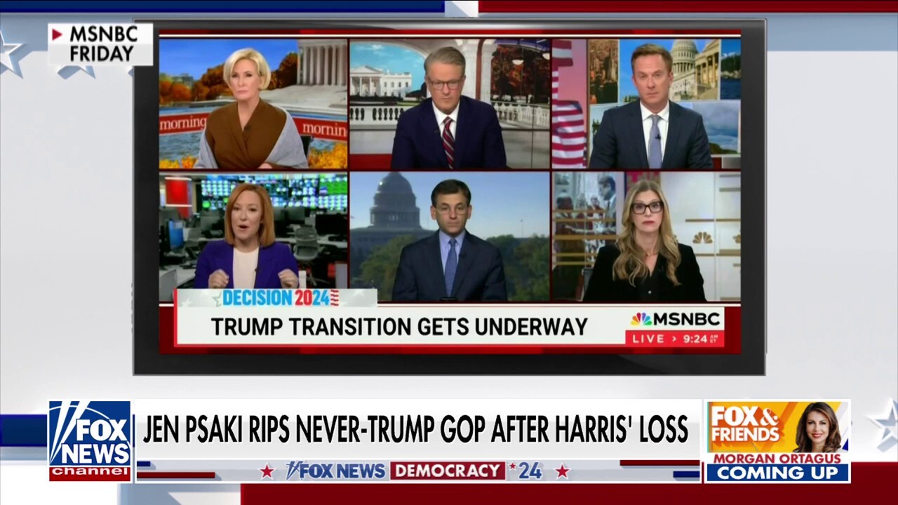 MSNBC host blames Dems for lifting up 'Never Trumpers': 'Not the winning coalition'