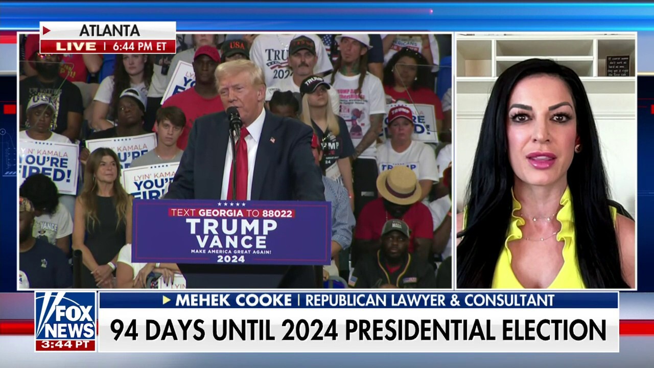 Democrats are 'rubber-stamping' the Biden-Harris administration: Mehek Cooke