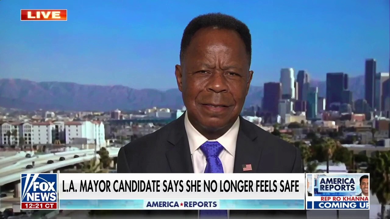 Los Angeles mayoral candidate's crime concern 'just talking points': Leo Terrell