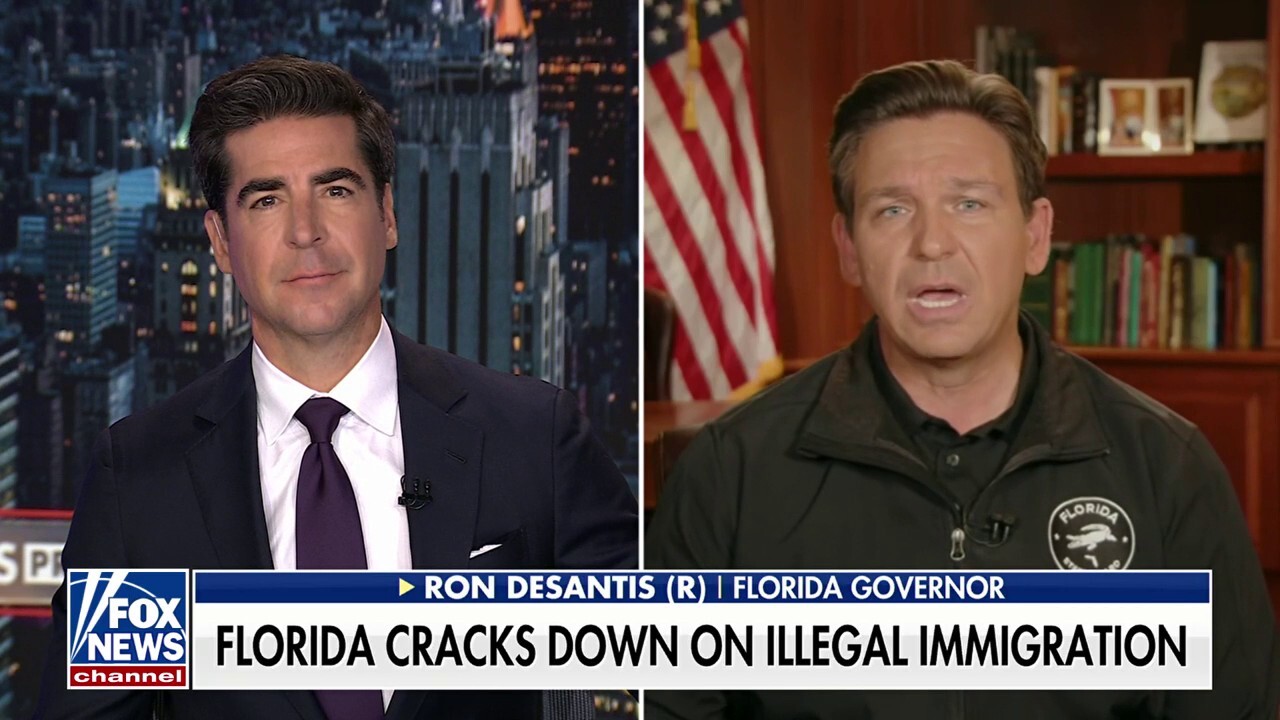 Ron DeSantis: Florida was DOGE before it was cool