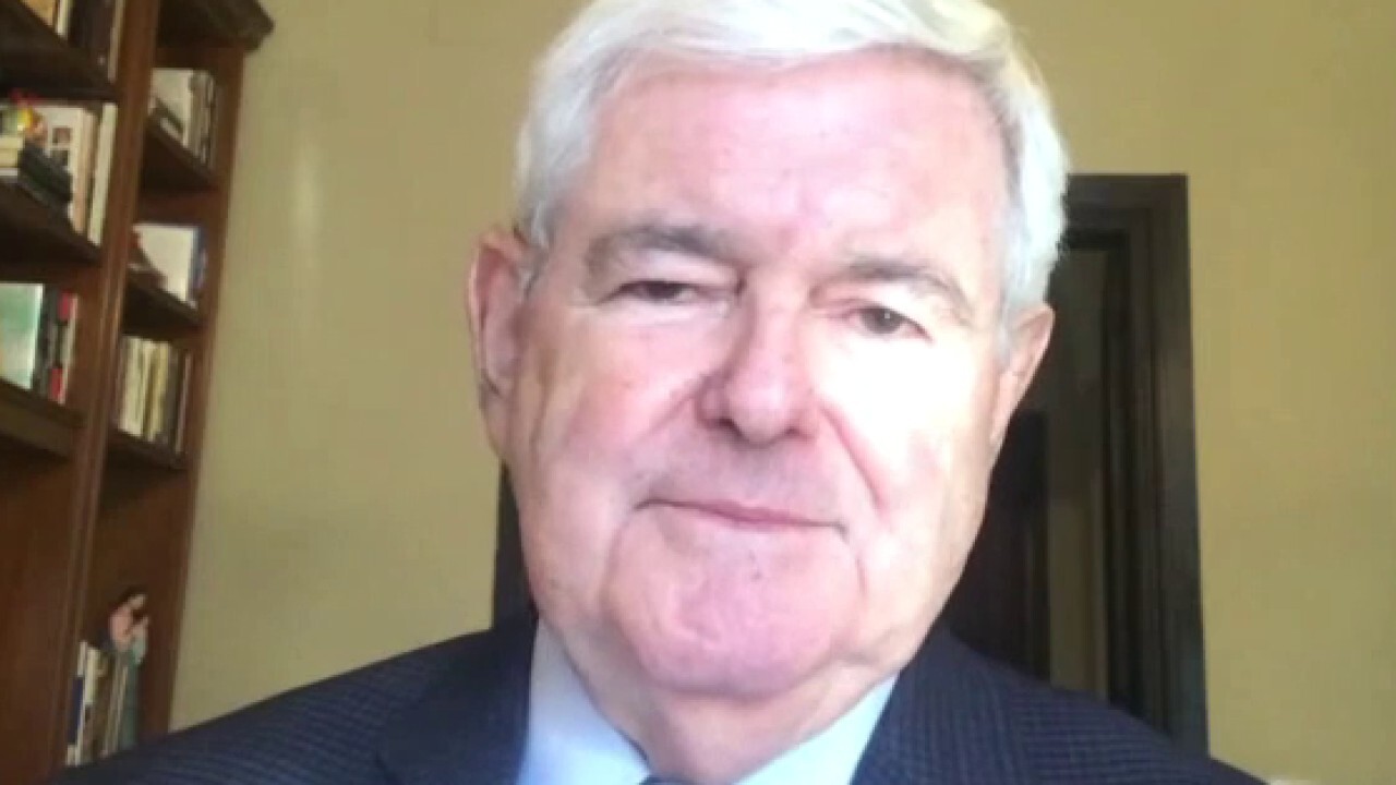 Gingrich: Vote Democrat if you want looters and torn down statues