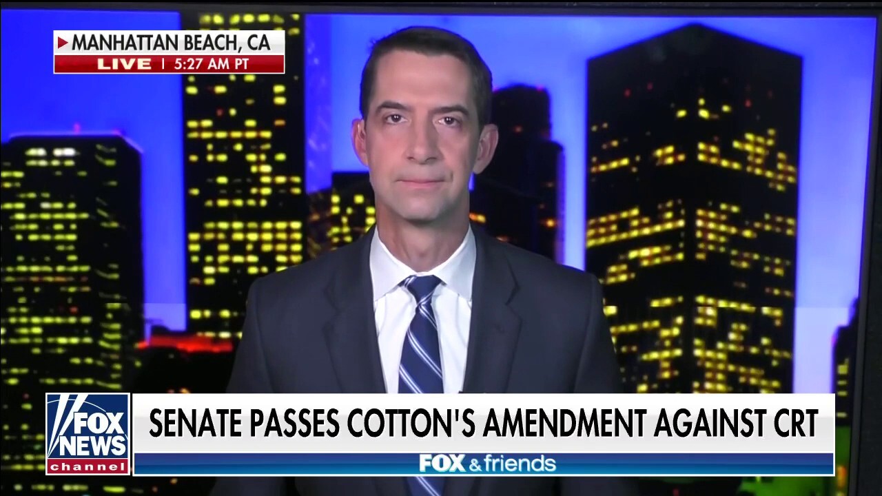 Sen. Tom Cotton: Democrats will have to answer for support of CRT