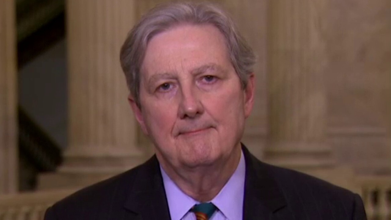 Sen. Kennedy: I wouldn't be surprised if Nancy Pelosi was working on a stimulus package for the murder hornet	