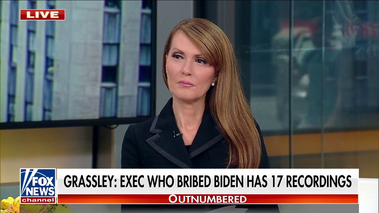 Dagen McDowell: A special counsel to investigate Biden could 'hugely backfire'