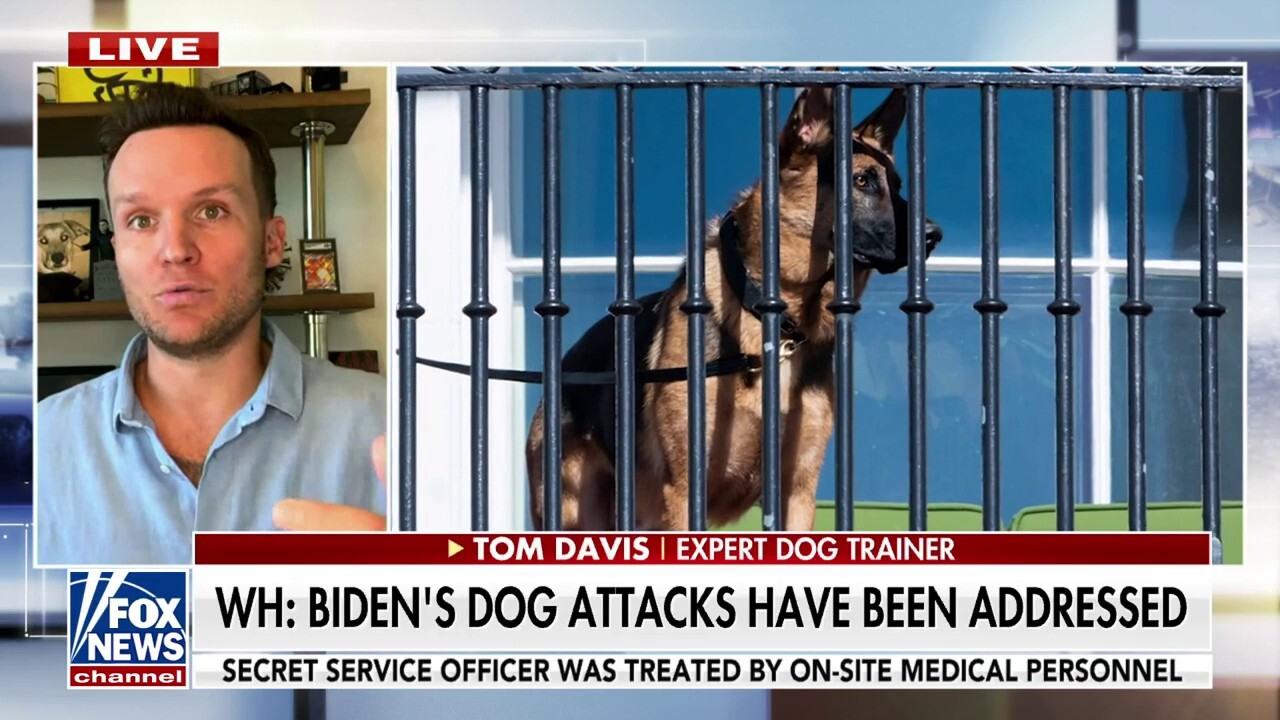 Expert dog trainer Tom Davis: Biden's dog is getting lack of accountability