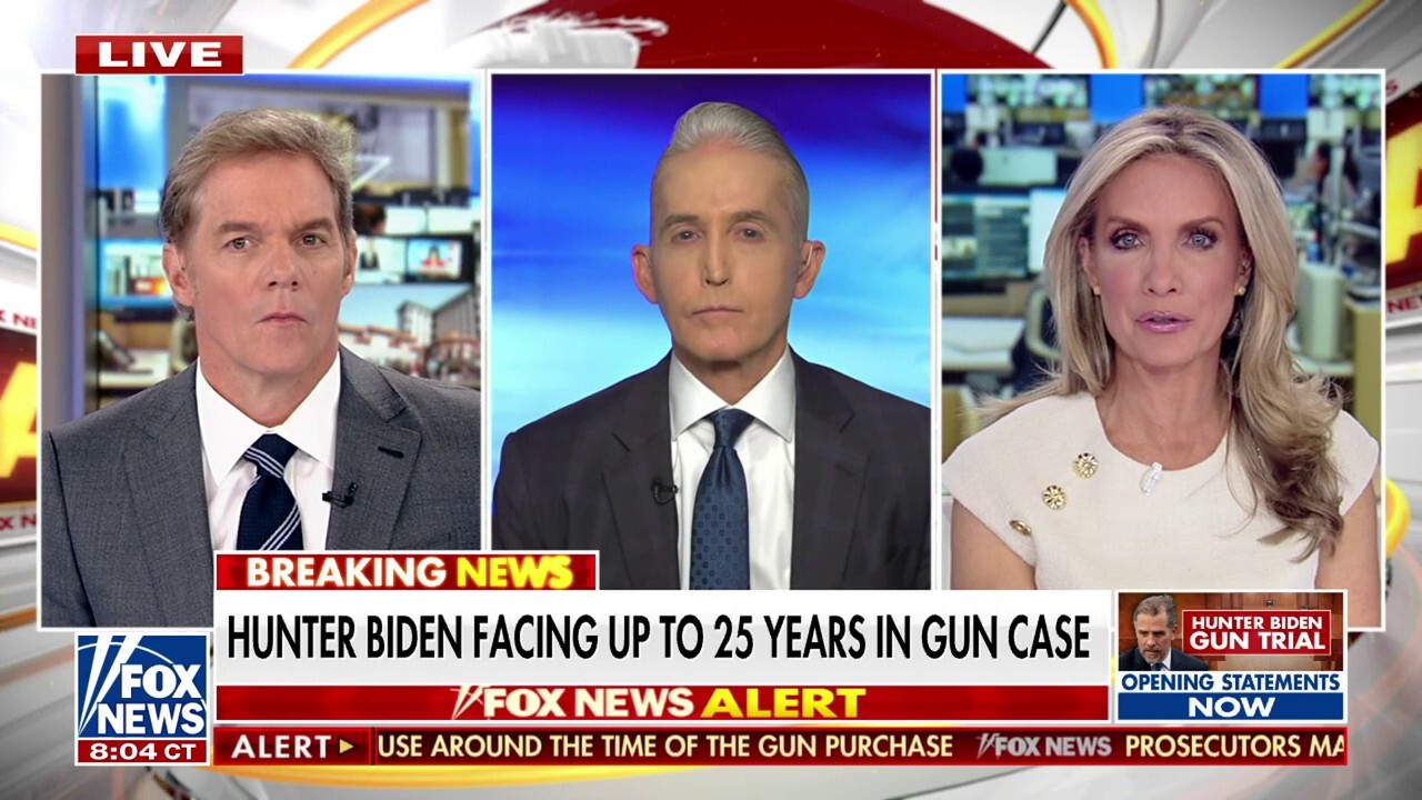 Trey Gowdy: Definition of 'addict' to loom large at Hunter Biden trial