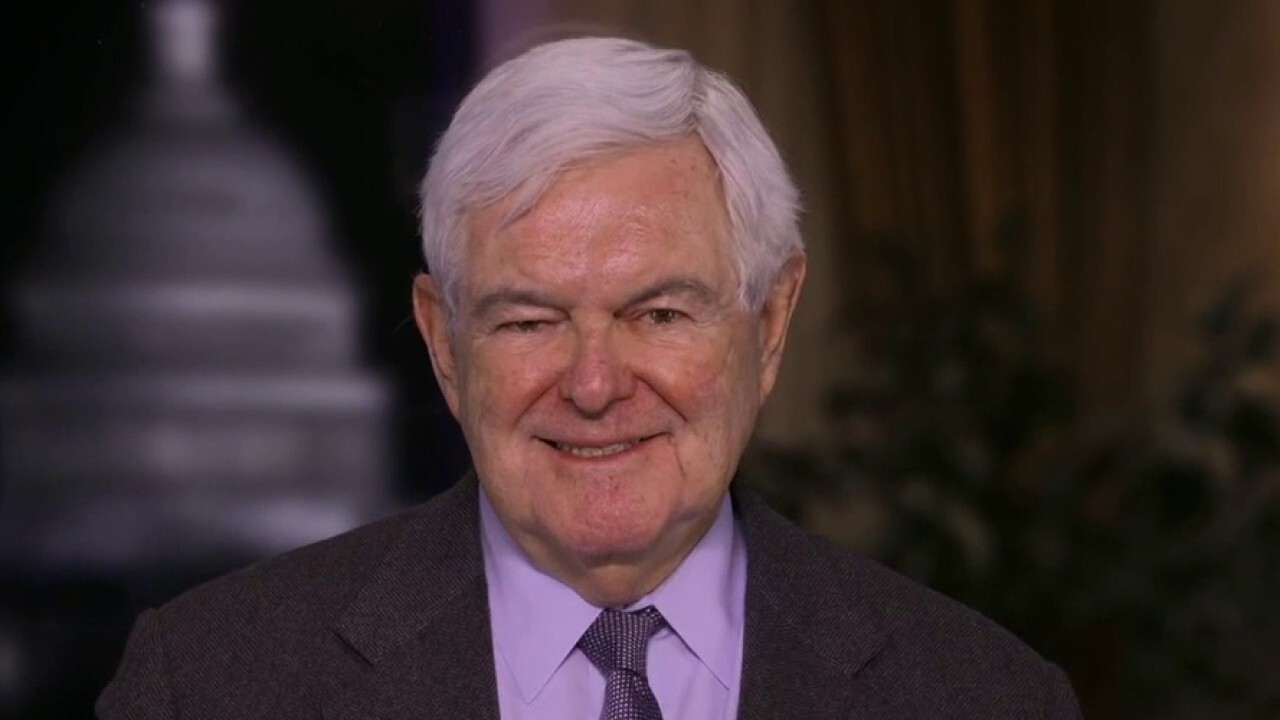 Gingrich slams Pelosi's Capitol wall: 'Insulting to every American'