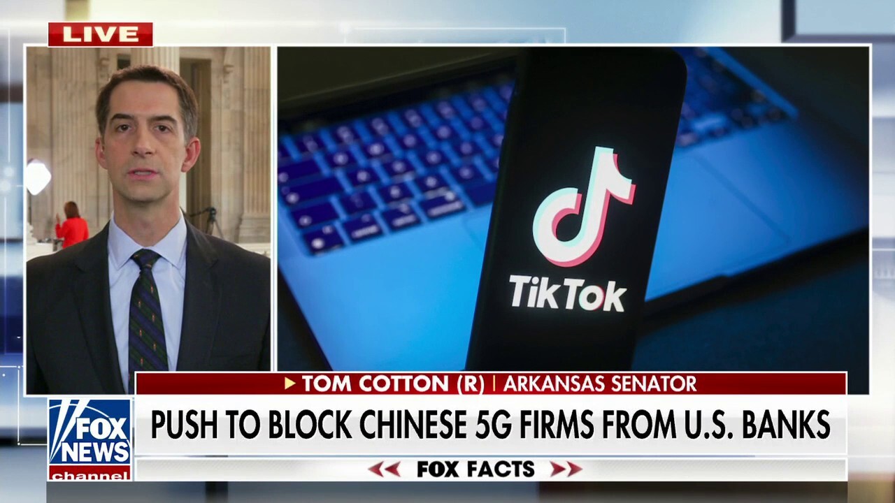 TikTok targeting minors with 'violent, degrading' content: Sen. Tom Cotton