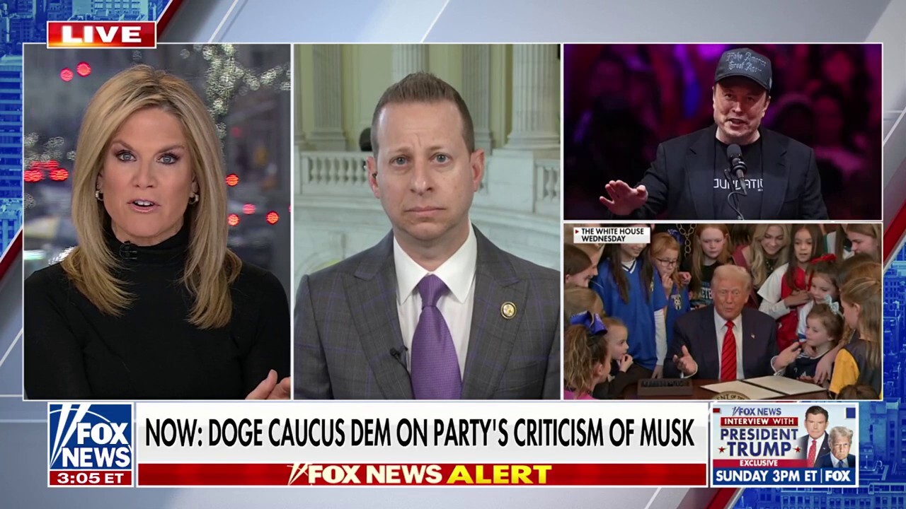 Musk spending cuts will not 'reverse' debt, DOGE caucus Dem says 