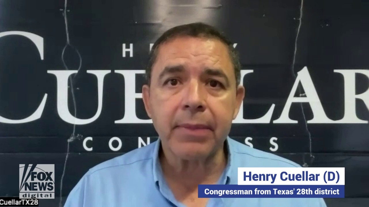 Rep. Henry Cuellar discusses why voters should re-elect him to Congress.