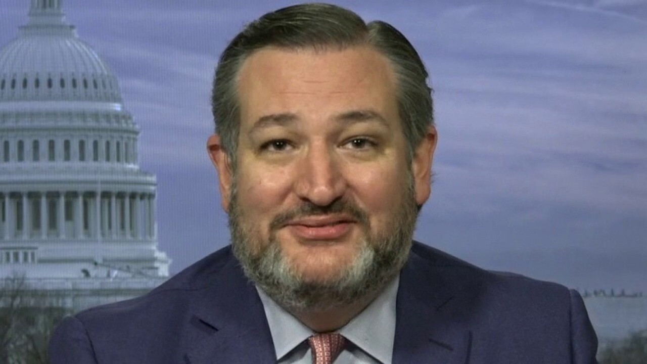 Ted Cruz reacts to Biden appointing Harris to lead border crisis 