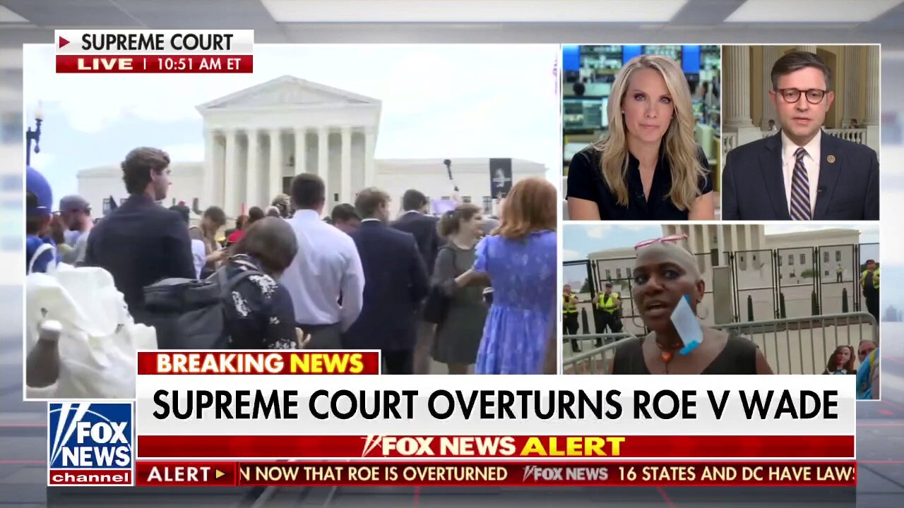 Rep. Johnson on Roe v. Wade ruling: Many worked 'our entire adult lives' for this day