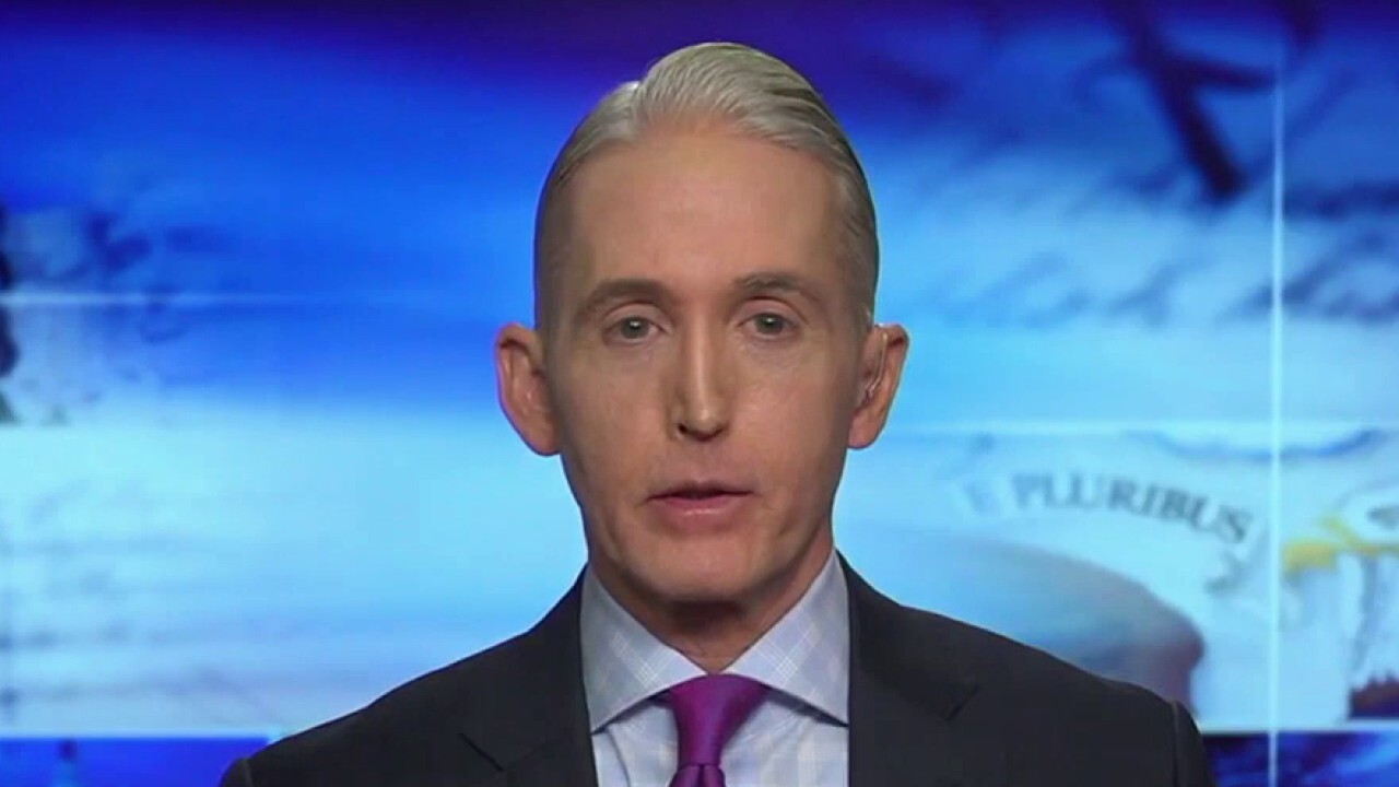 Trey Gowdy: Cops are still working for you despite 'defund' push