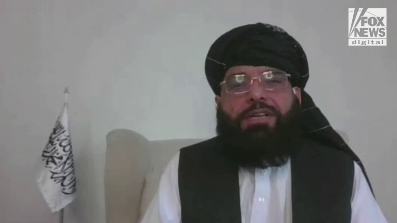 Taliban spokesman Suhail Shaheen discusses women's rights and terrorism with Fox News Digital