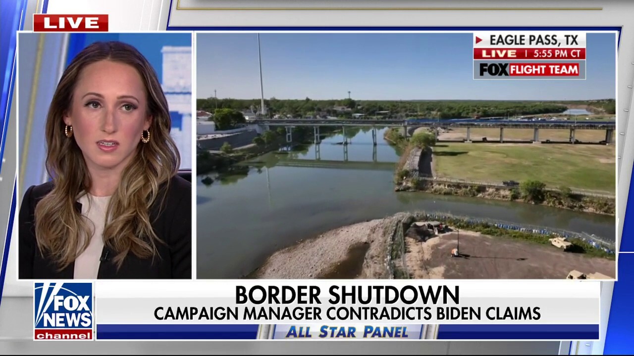  Democrats don't have a clear solution to the border issue: Stef Kight