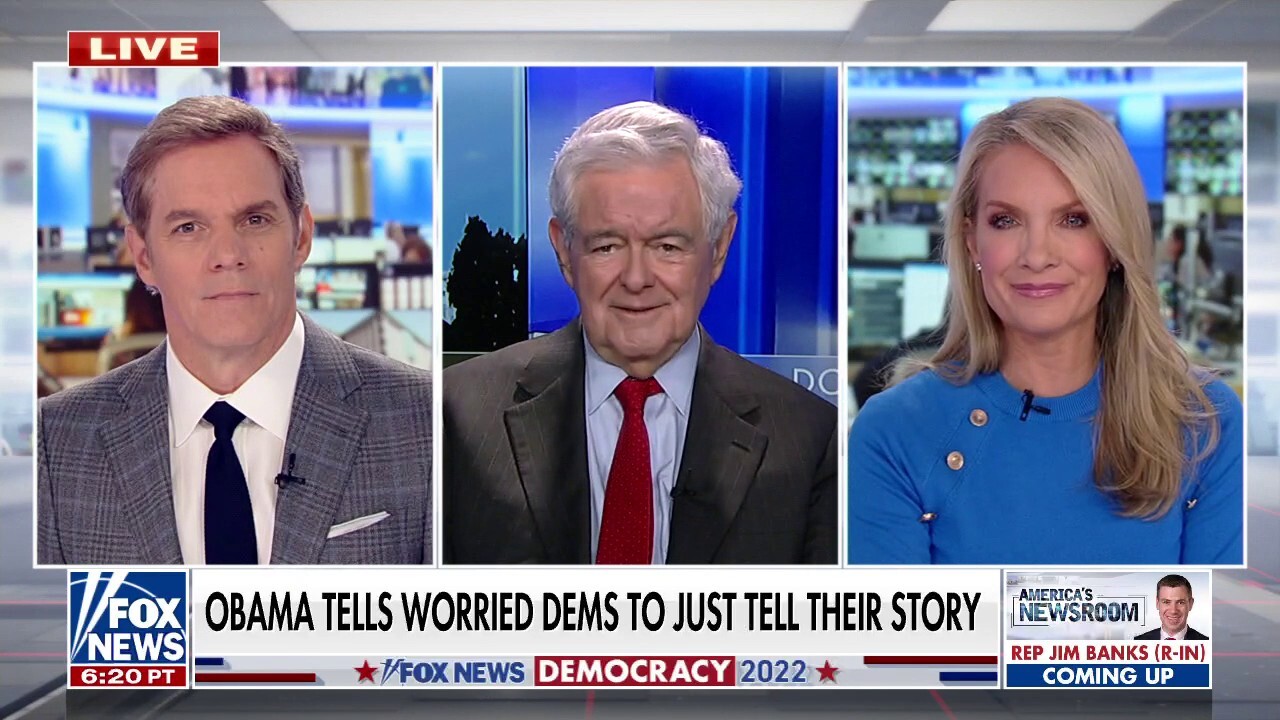 Newt Gingrich predicts Democrats barreling toward 'worst' election losses in one century amid multiple crises