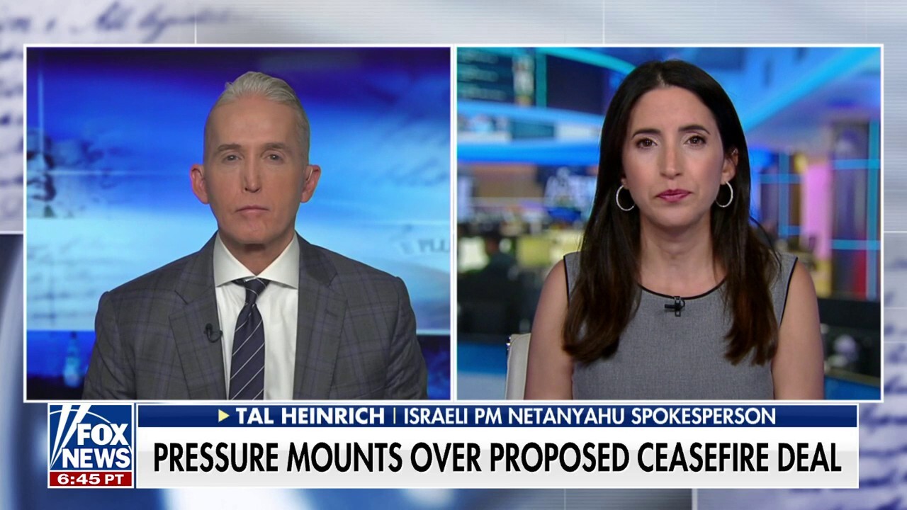 The notion of a permanent cease-fire that would leave Hamas in power isn't going to happen: Tal Heinrich
