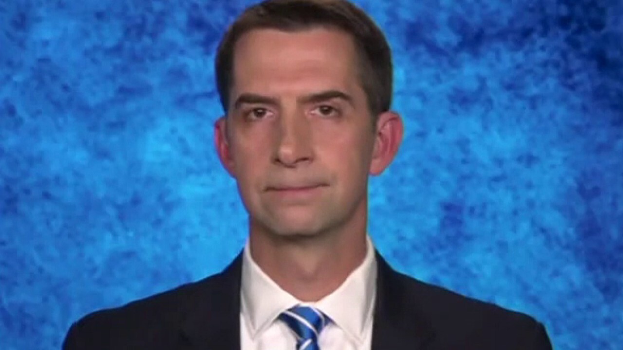 Sen Tom Cotton: Biden, allies, have appeased China, turned the other cheek