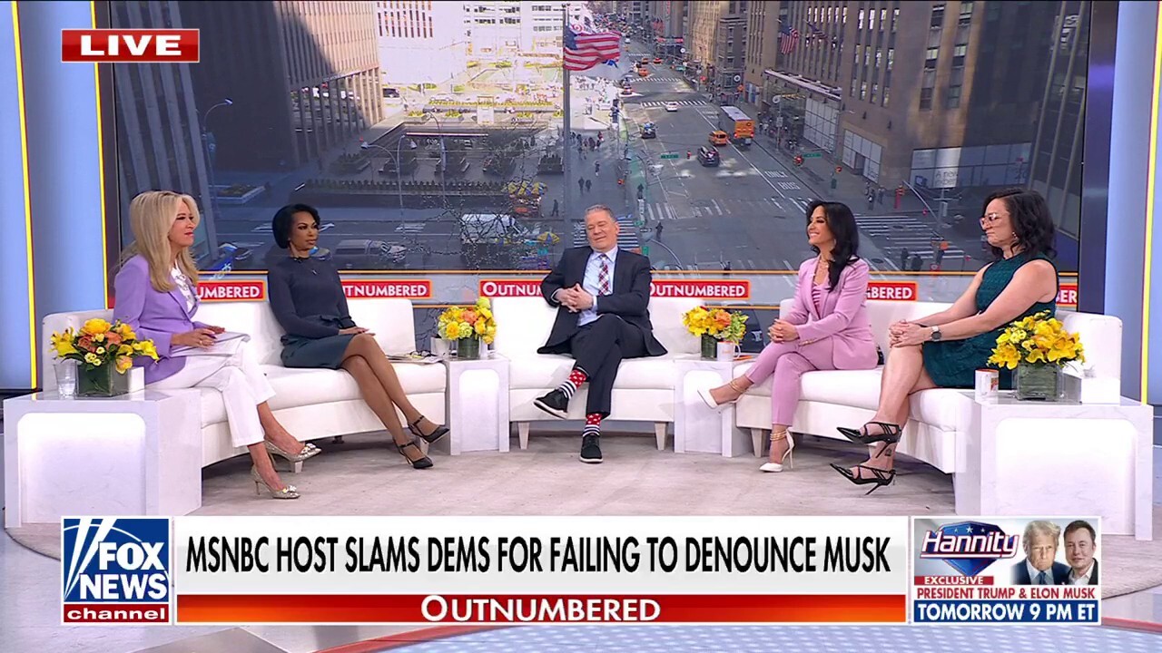 MSNBC host claims Elon Musk 'has tentacles in everything' in scorched-earth rant