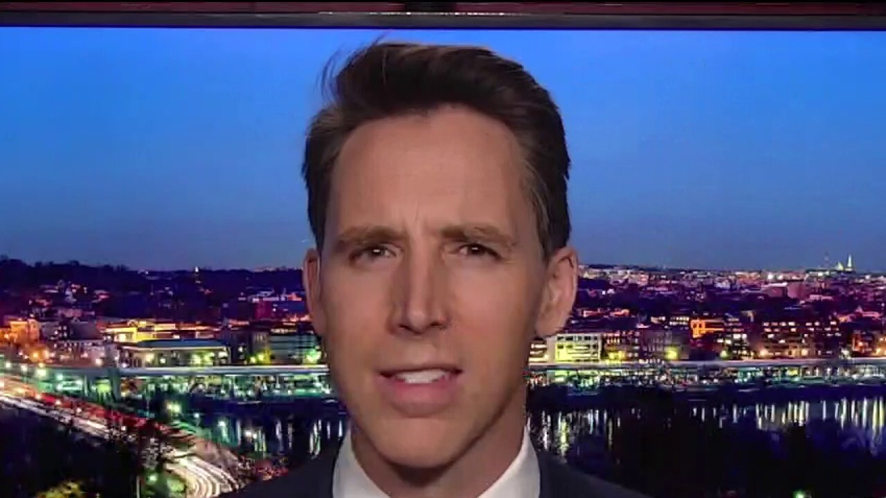 Hawley: Left wants to 'combine the power of government and the power of' Big Tech corporations