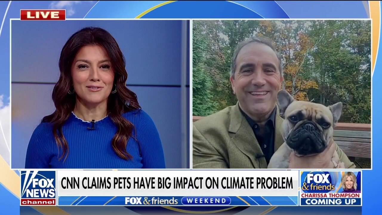 Marc Morano slams CNN for blaming climate change crisis on pets: 'War on modern life'