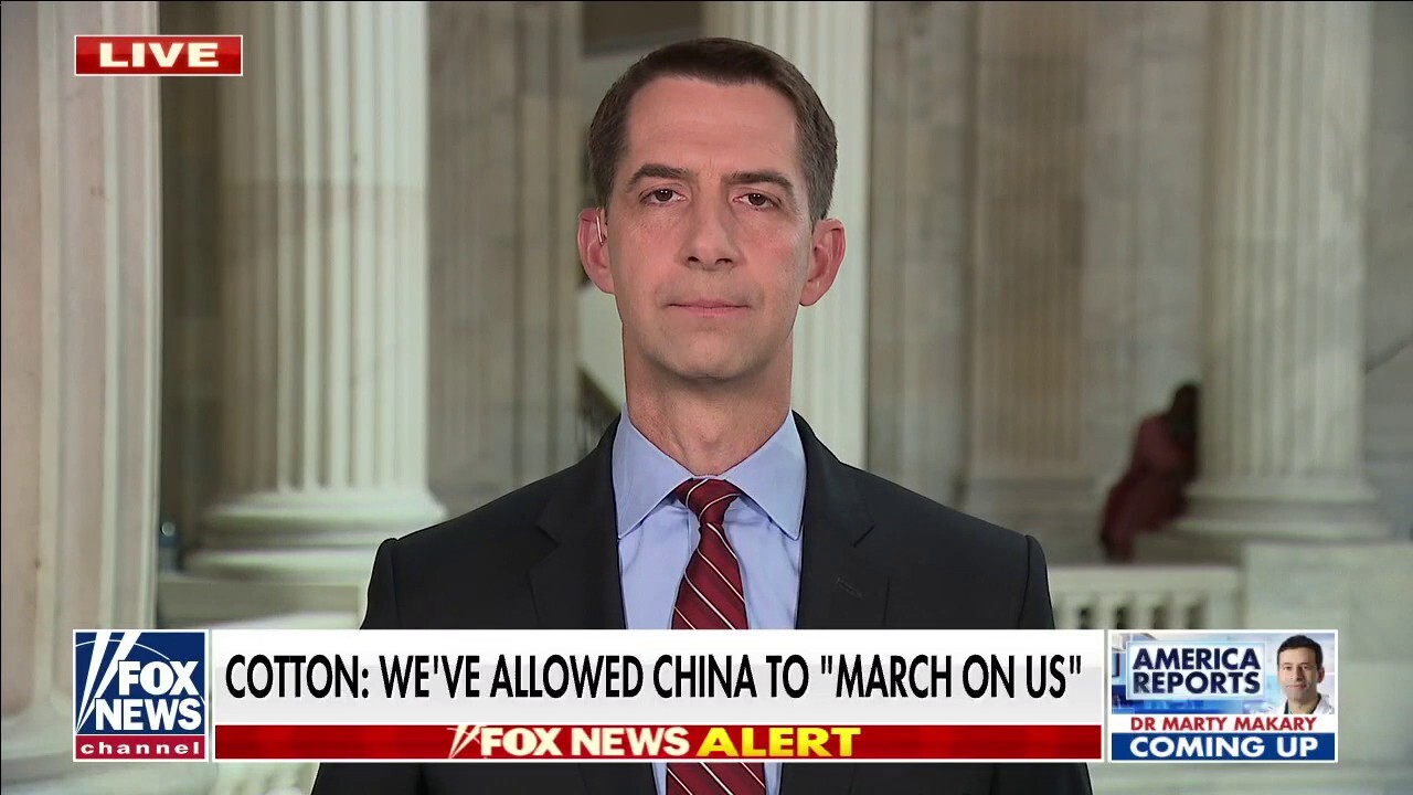Sen. Cotton expresses 'real doubts' about US Navy's ability to defeat China in battle