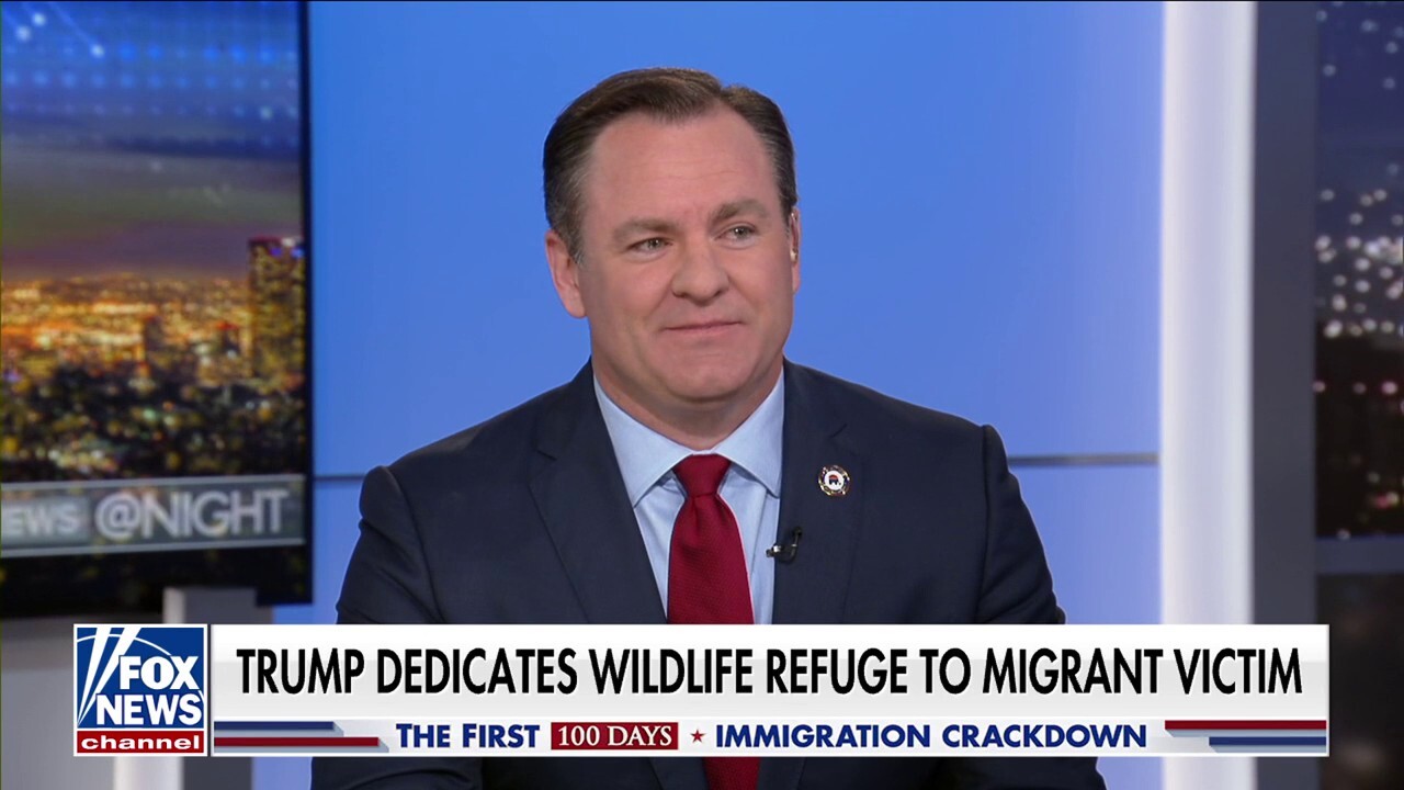 Former mayor calls out Dems' silence for victims of migrant crime: 'Brutal' to watch