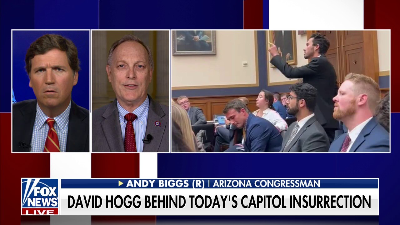 Democrats would call what David Hogg did an 'insurrection': Rep Andy Biggs