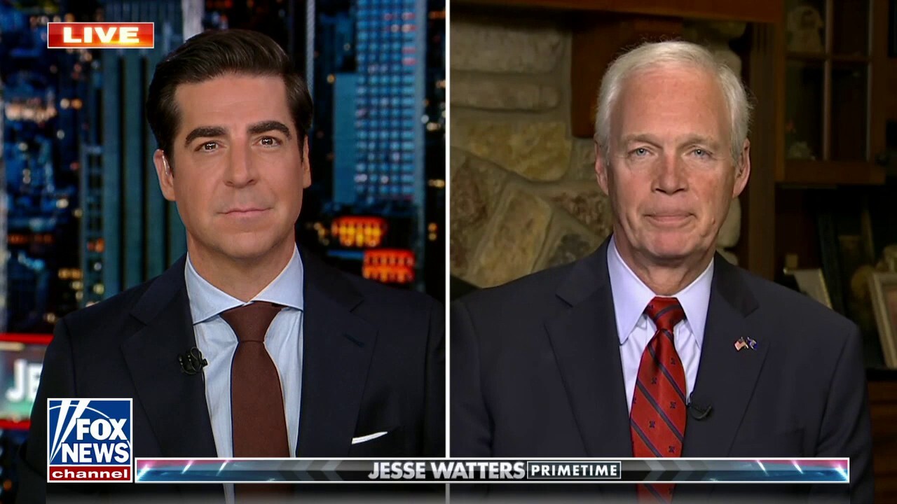 Sen Ron Johnson: Here's my concern in the Hunter Biden investigation