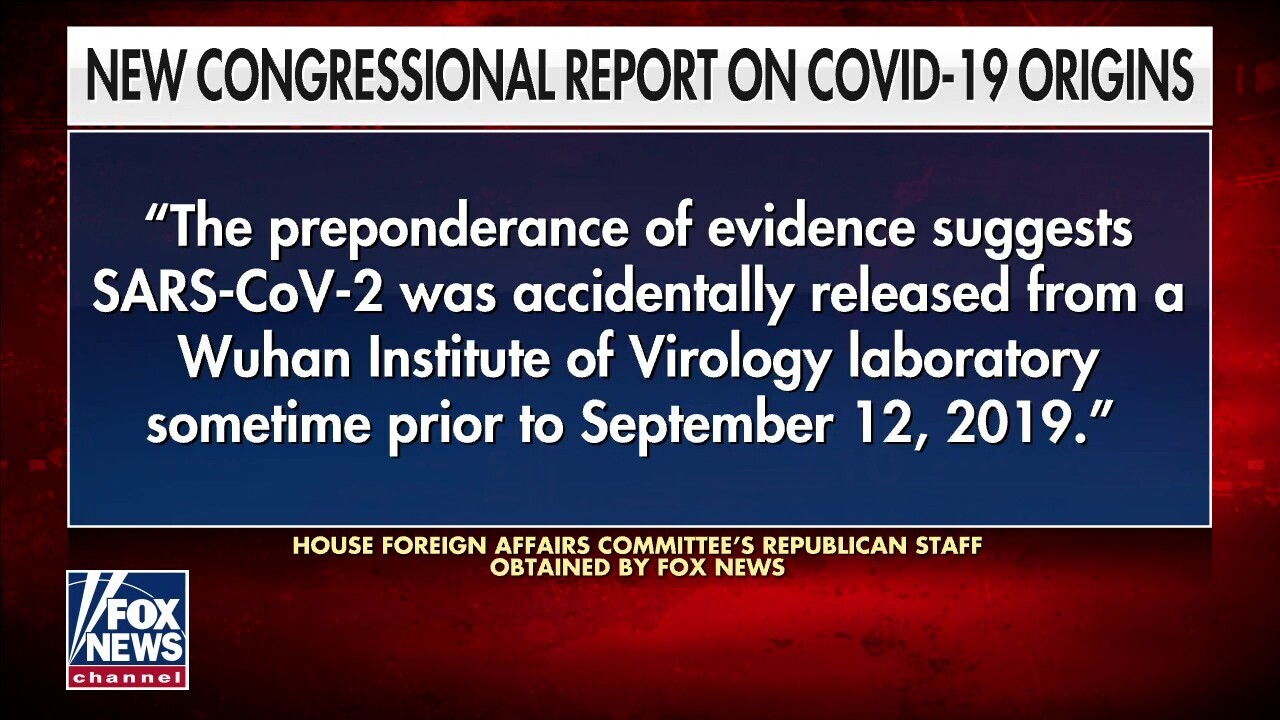  GOP report says 'preponderance of evidence' points to accidental Wuhan lab leak