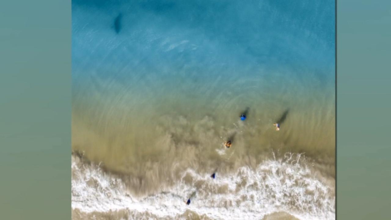 Shark lurking toward kids playing in ocean spotted by dad flying his drone