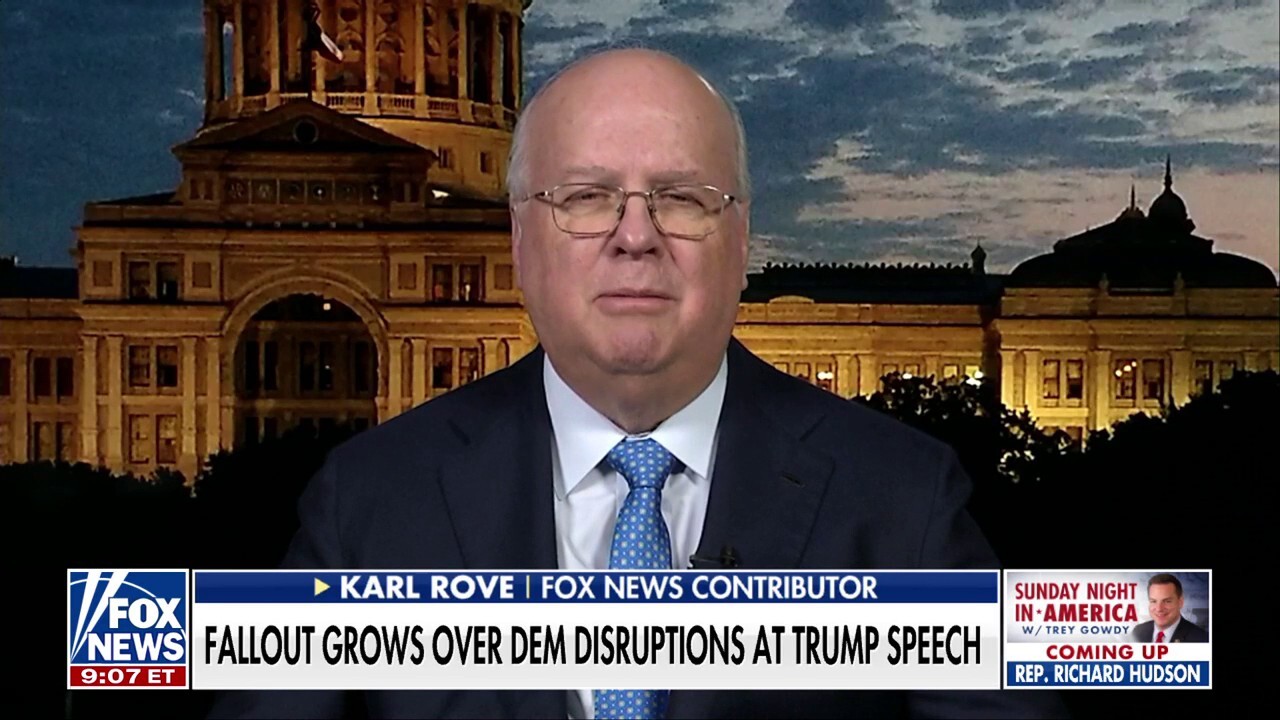 Democrats looked like they were at an auction, says Karl Rove