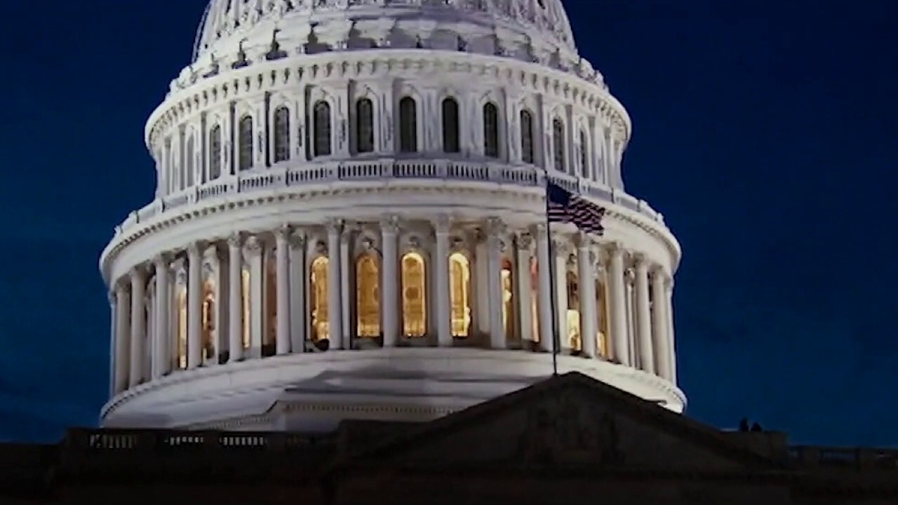 IDP senators, led by Cruz, to protest against the certification of the Electoral College, demand emergency audit