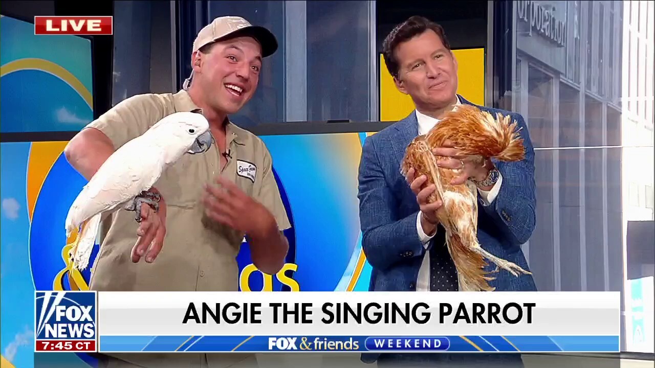 'Fox & Friends Weekend' co-hosts face a new fear: Birds