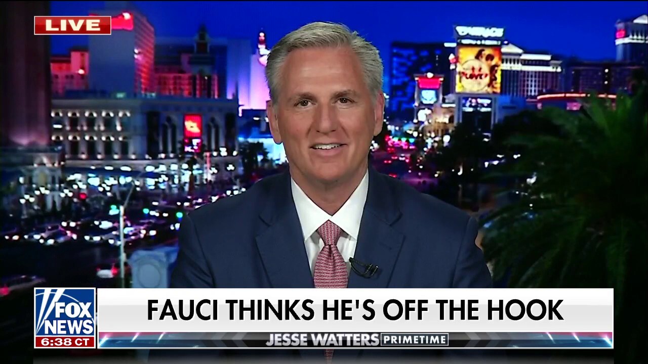 Kevin McCarthy: Democrats have been deceiving the American public