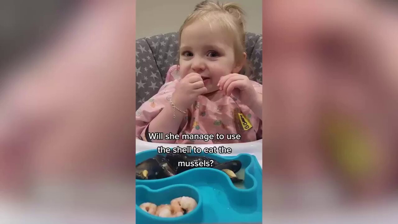 Toddler eats just about anything in adorable video