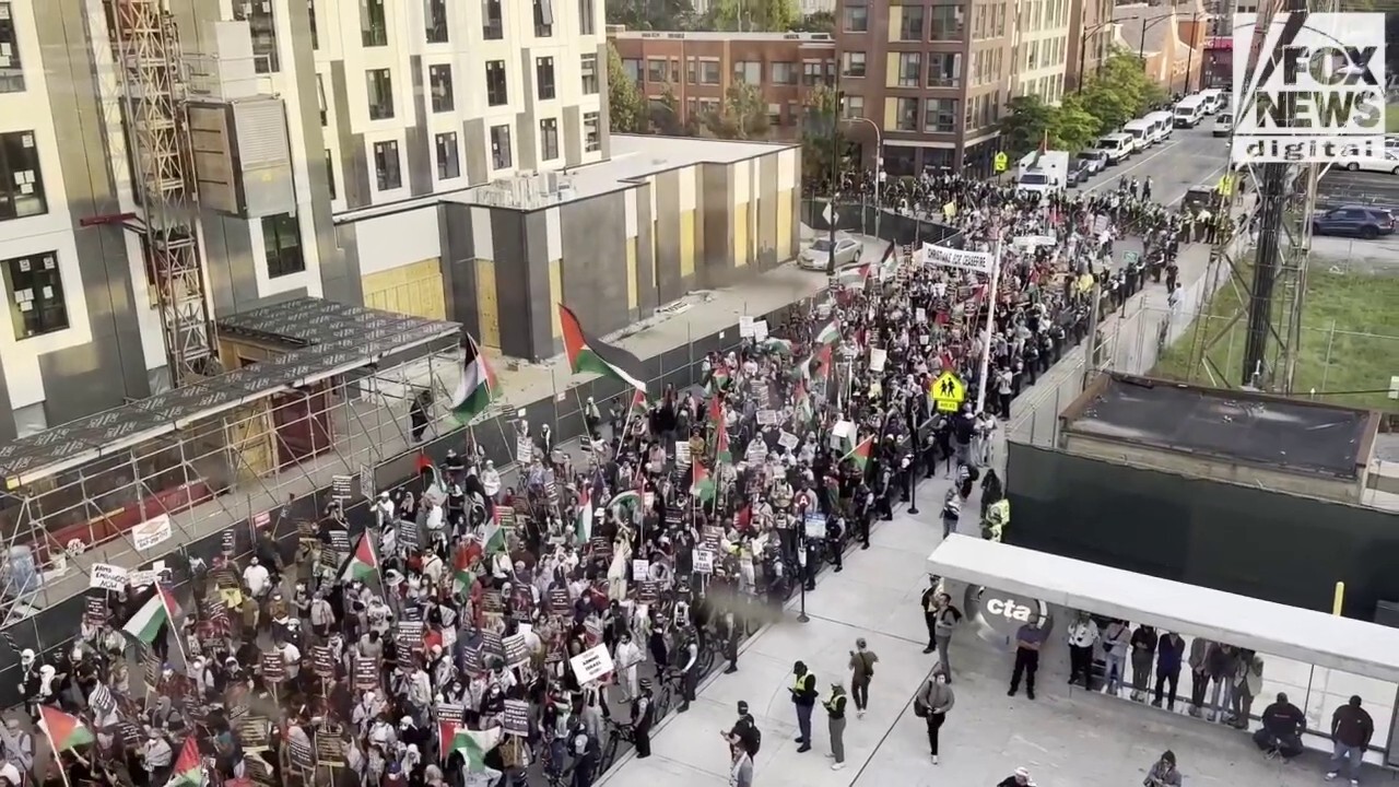 Pro-Hamas demonstrators clash with police in Chicago