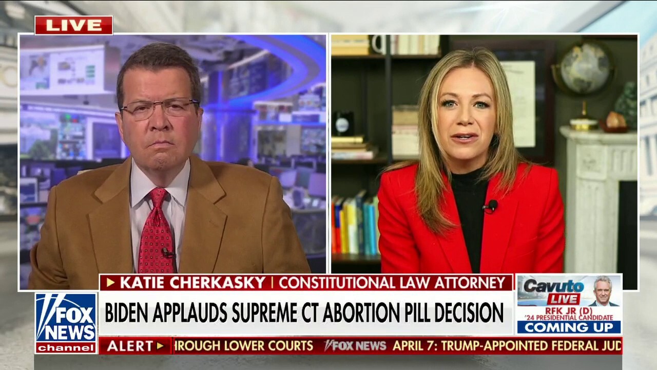 Abortion will ‘never’ be an ‘apolitical’ subject: Katie Cherkasky 