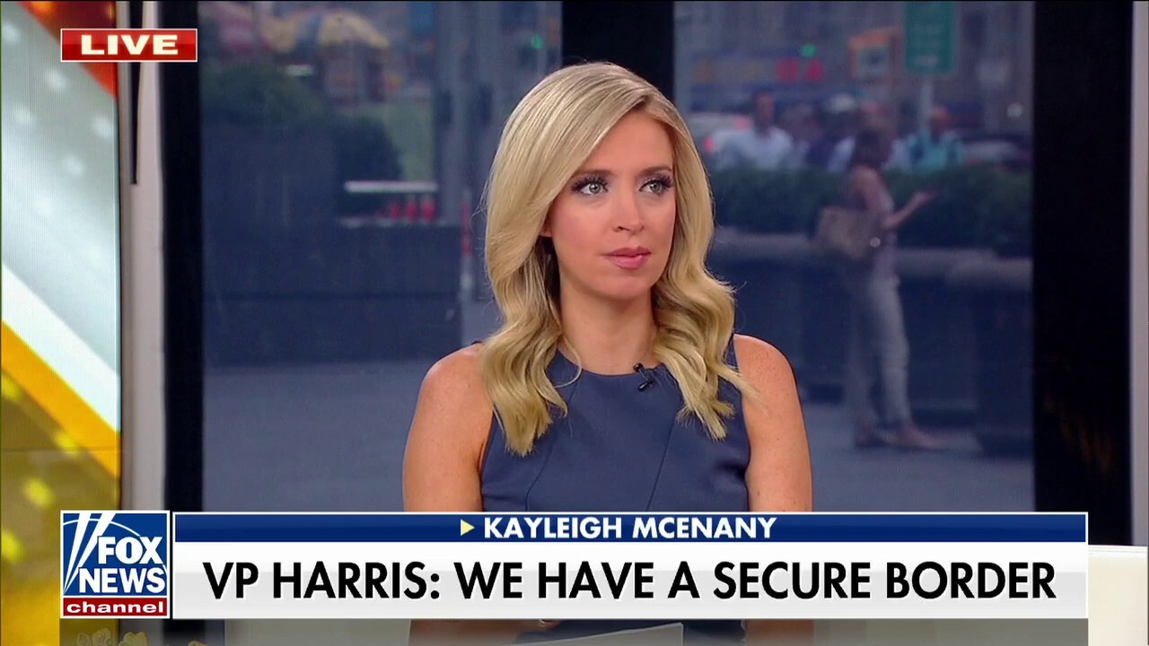 Kayleigh McEnany calls out Kamala Harris' total insult to Americans