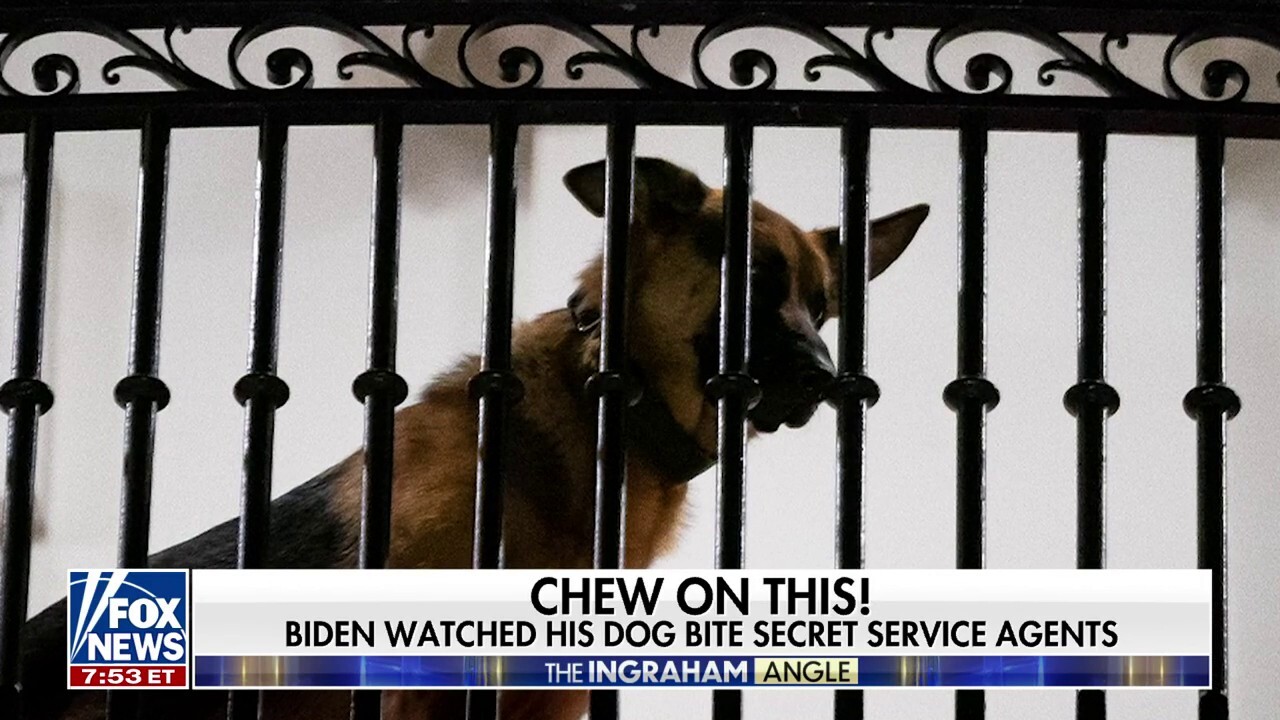Президентът Байдън имаше седалка на първия ред, за да куче, командир, многократно хапеше агенти на Тайните служби: доклад