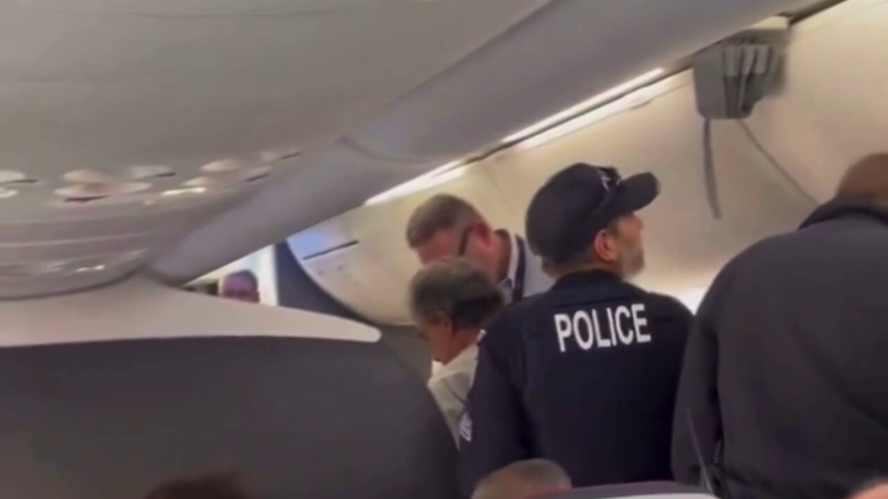 Твърди се, че разярен пътник на American Airlines удря с юмрук стюардеса, рита, плюе полицейски служители