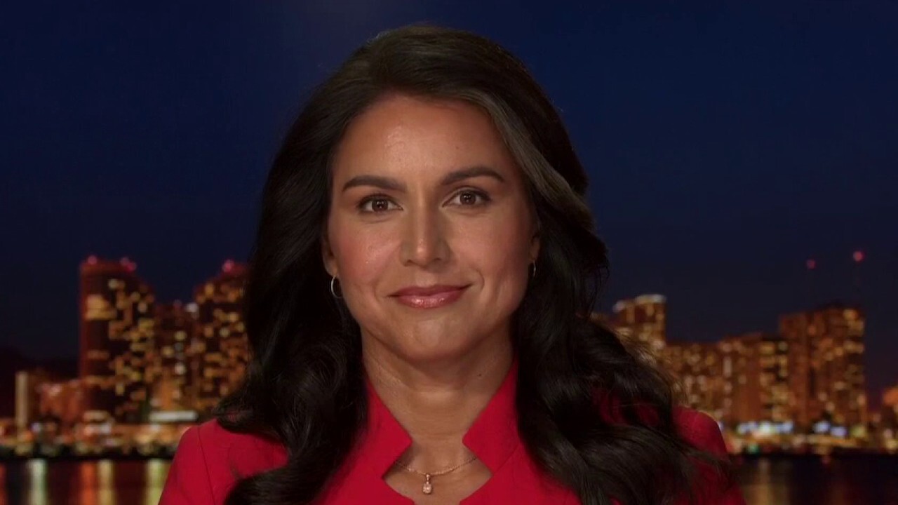 Tulsi Gabbard: Powerful elite, media colluding to destroy outsiders
