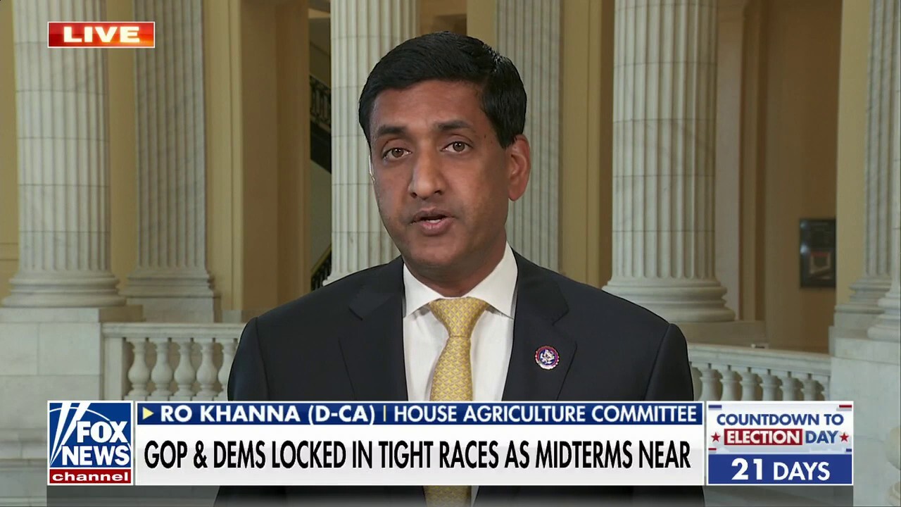 Democrats would be wise to listen to Obama ahead of midterms: Rep. Ro Khanna 