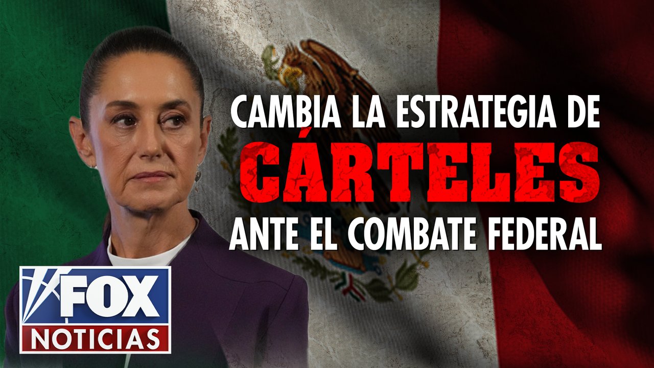 ¿Cárteles en Retirada o Nuevas Tácticas?