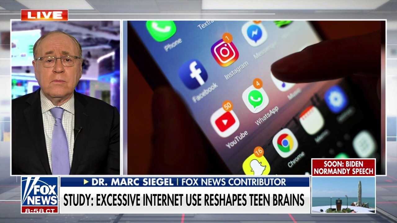 Study finds internet addiction disrupts teens’ brains