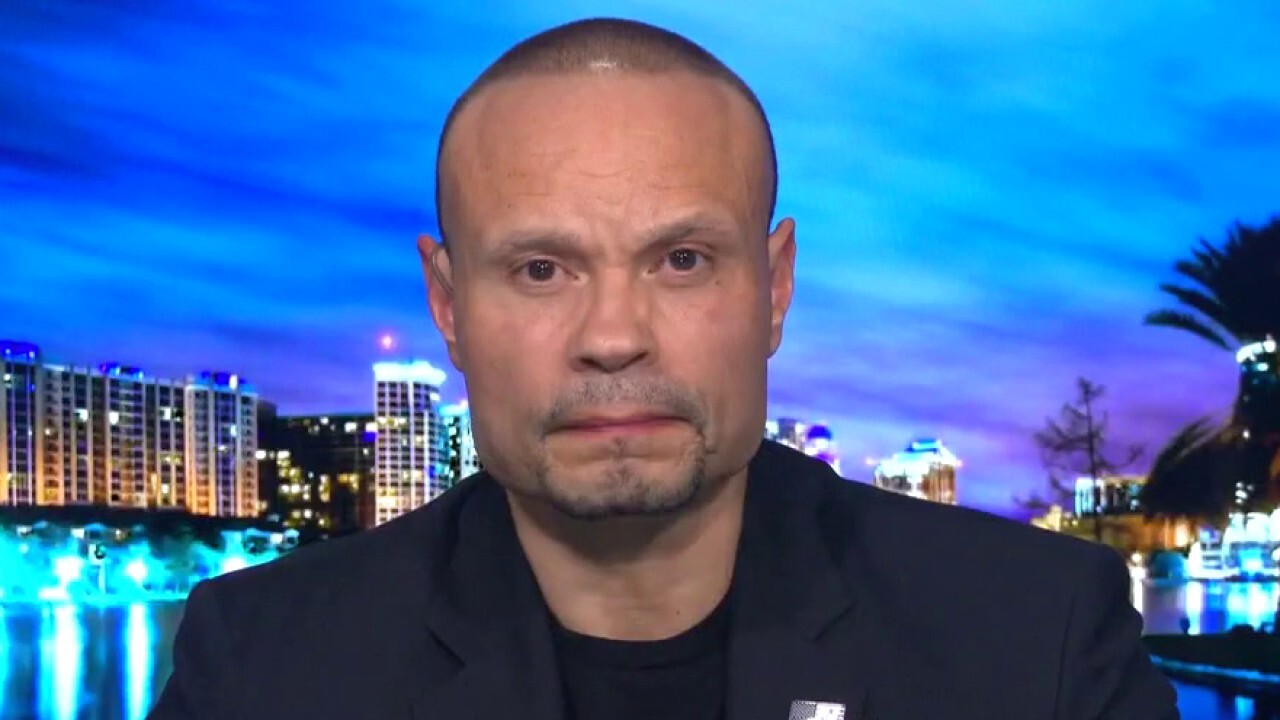 Dan Bongino: What went wrong with security at the US Capitol