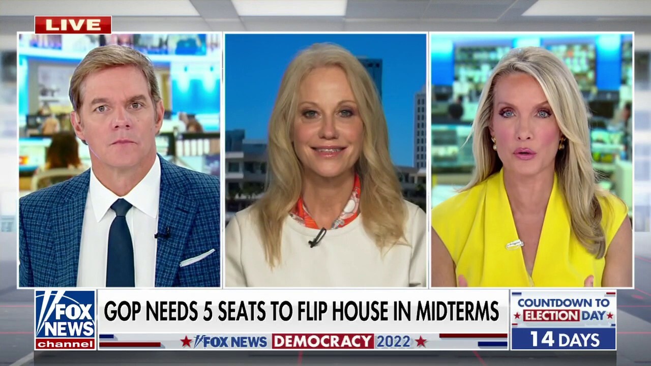 Kellyanne Conway urges GOP to hold Democrats accountable: 'You can't escape the Biden-Harris agenda'