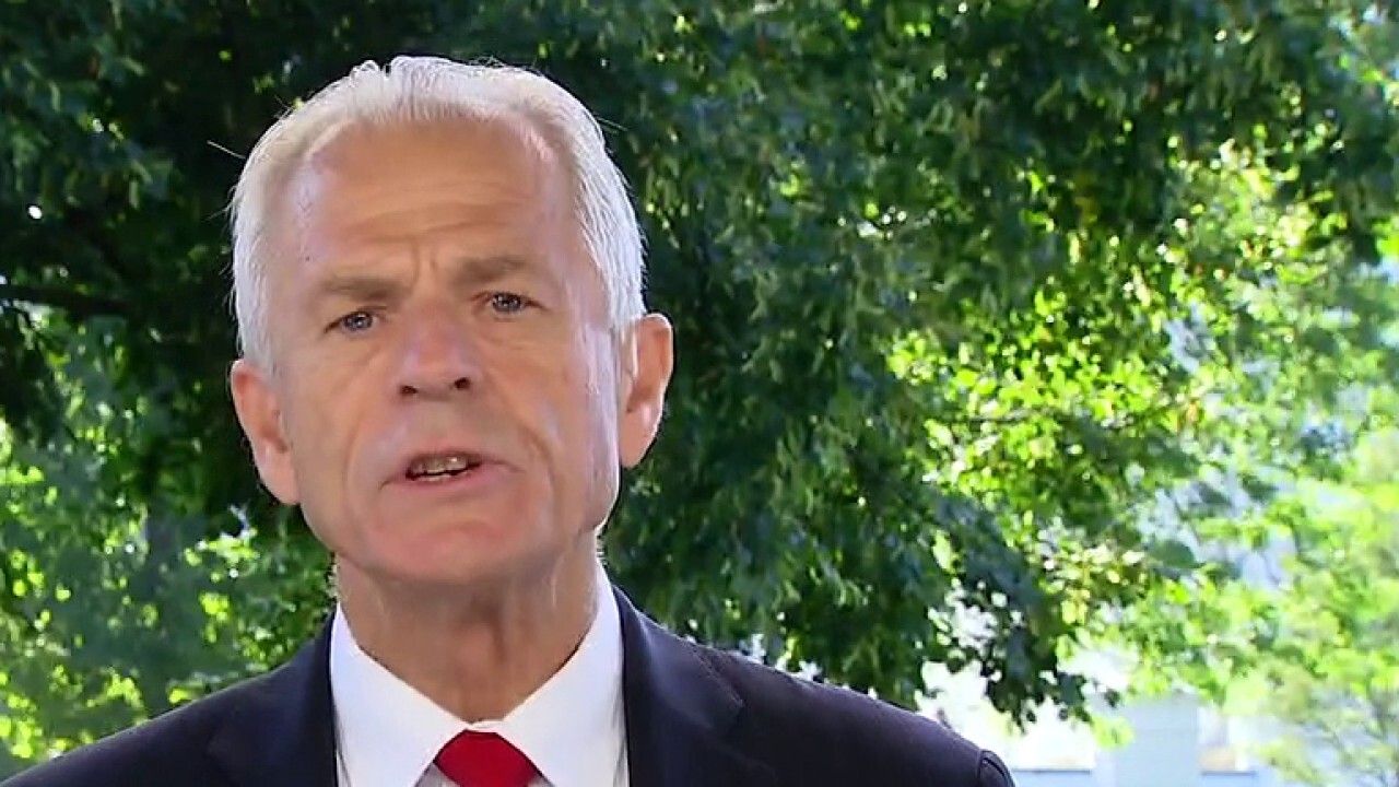Peter Navarro comments on his op-ed criticizing Dr. Fauci